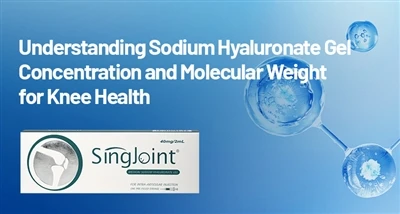 Tuiscint ar Thiúchan Glóthach Hyaluronate Sóidiam agus Meáchan Móilíneach le ...